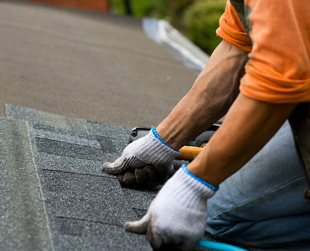 Quick and Trustworthy Emergency Roof Repair Services in Beach Park, IL